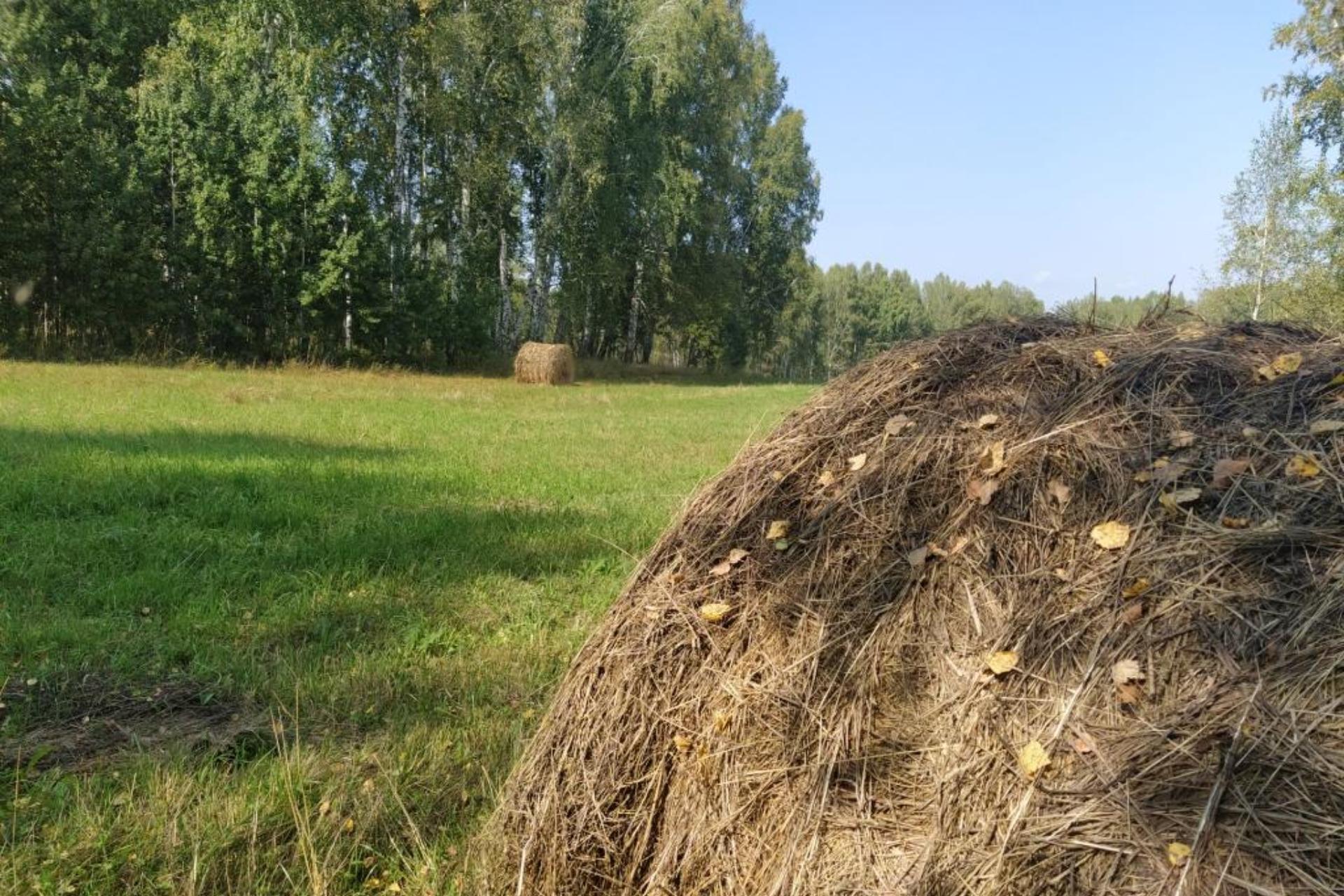 МЕНЬШЕ СЕЯТЬ, БОЛЬШЕ СТРОИТЬ